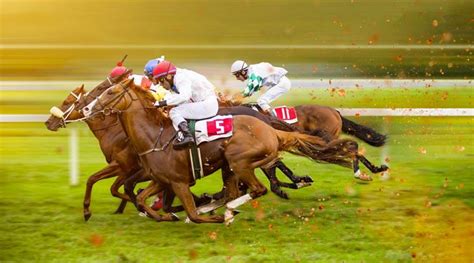 melbourne cup online betting